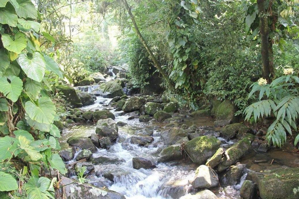 Dingo - Refugio Romantico Em Meio A Natureza Penedo  Εξωτερικό φωτογραφία